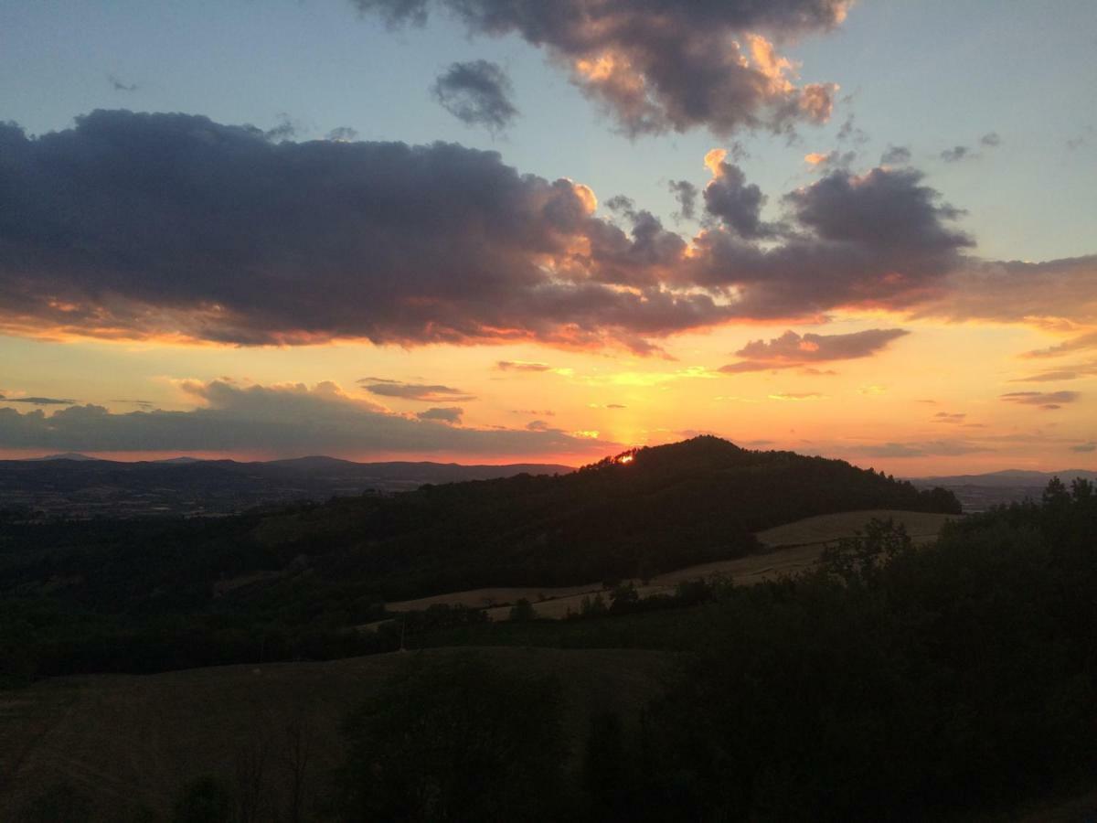 Umbria, "Casa Sagrantina" Con Piscina E Pergolato Appartement Collazzone Buitenkant foto
